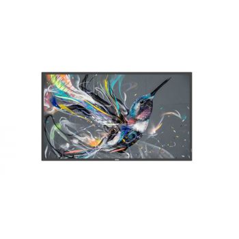 Монитор Philips 86BDL3511Q 217CM